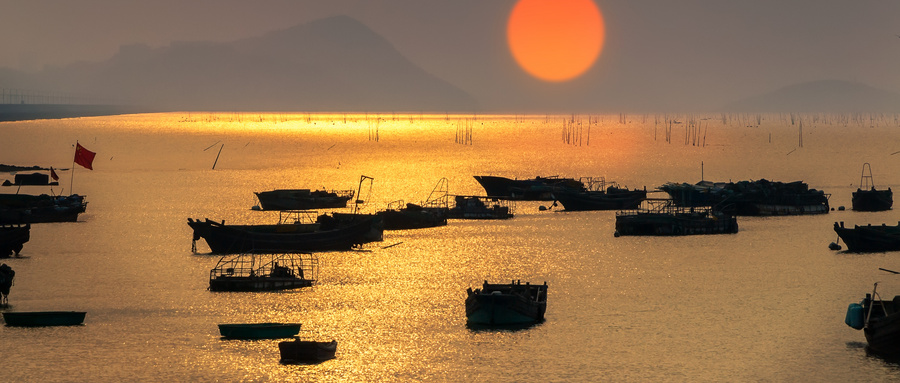 淡干海参批发